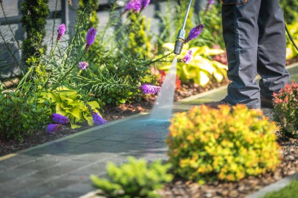 Reliable West Union, IA Pressure Washing Services Solutions